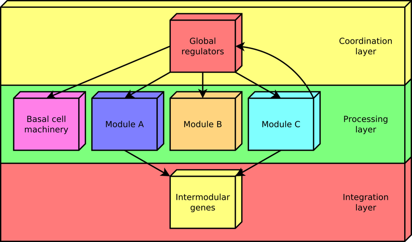 Three-tiers hierarchy